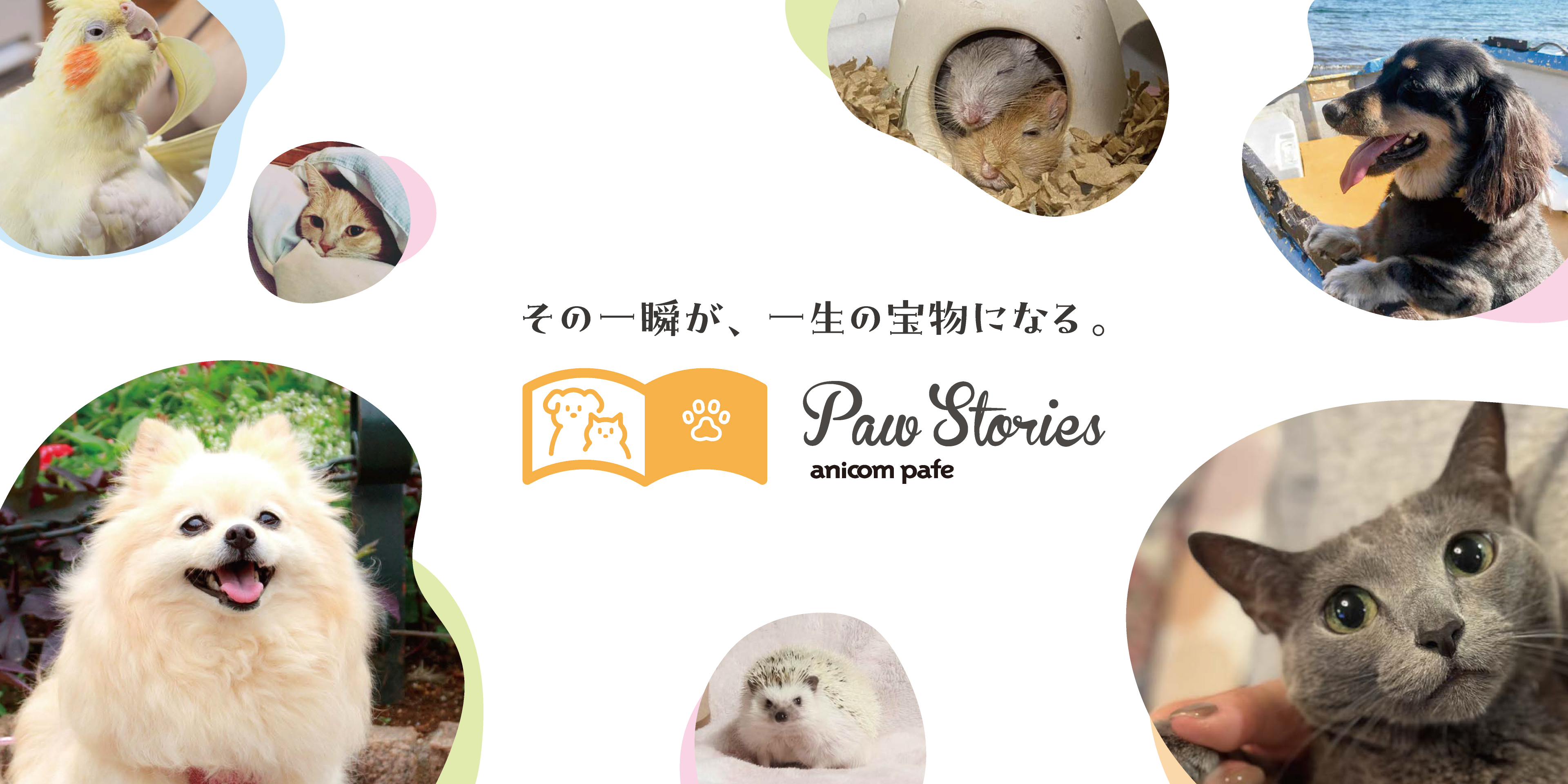 キービジュアル